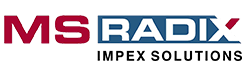 MS Radix Impex Solutions Logo